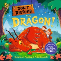 Don't Disturb the Dragon - Findlay Rhiannon - książka