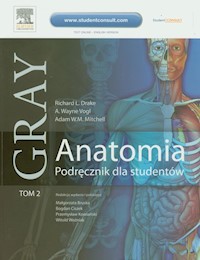 Gray Anatomia Podręcznik dla studentów Tom 2 - Drake Richard L., A.Wayne Vogl, Mitchell Adam W.M. - książka
