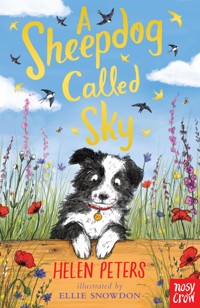 A Sheepdog Called Sky - Peters Helen, Helen Peters - ebook