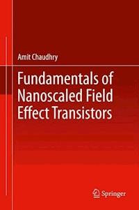 Fundamentals of Nanoscaled Field Effect Transistors - Amit Chaudhry - ebook