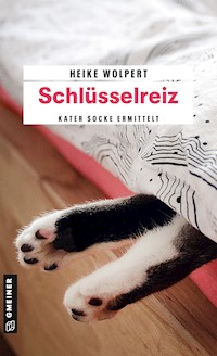 Schlüsselreiz - Heike Wolpert - ebook