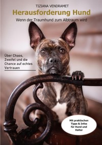 Herausforderung Hund - Tiziana Vendramet - ebook