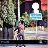 Dulszczynea - Wojciechowicz Zbigniew - książka