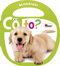 Co to Słodziaki - Kozera Piotr - książka