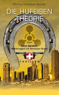 Die Hufeisen Theorie - Markus Christoph Bucher - ebook