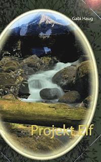 Projekt Elf - Gabi Haug - ebook