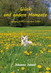 Glück und andere Momente - Johanna Jahnel - ebook