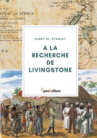 A la recherche de Livingstone - Henry M. Stanley - ebook