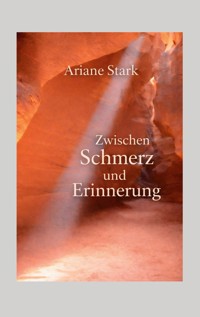 Zwischen Schmerz und Erinnerung - Ariane Stark - ebook