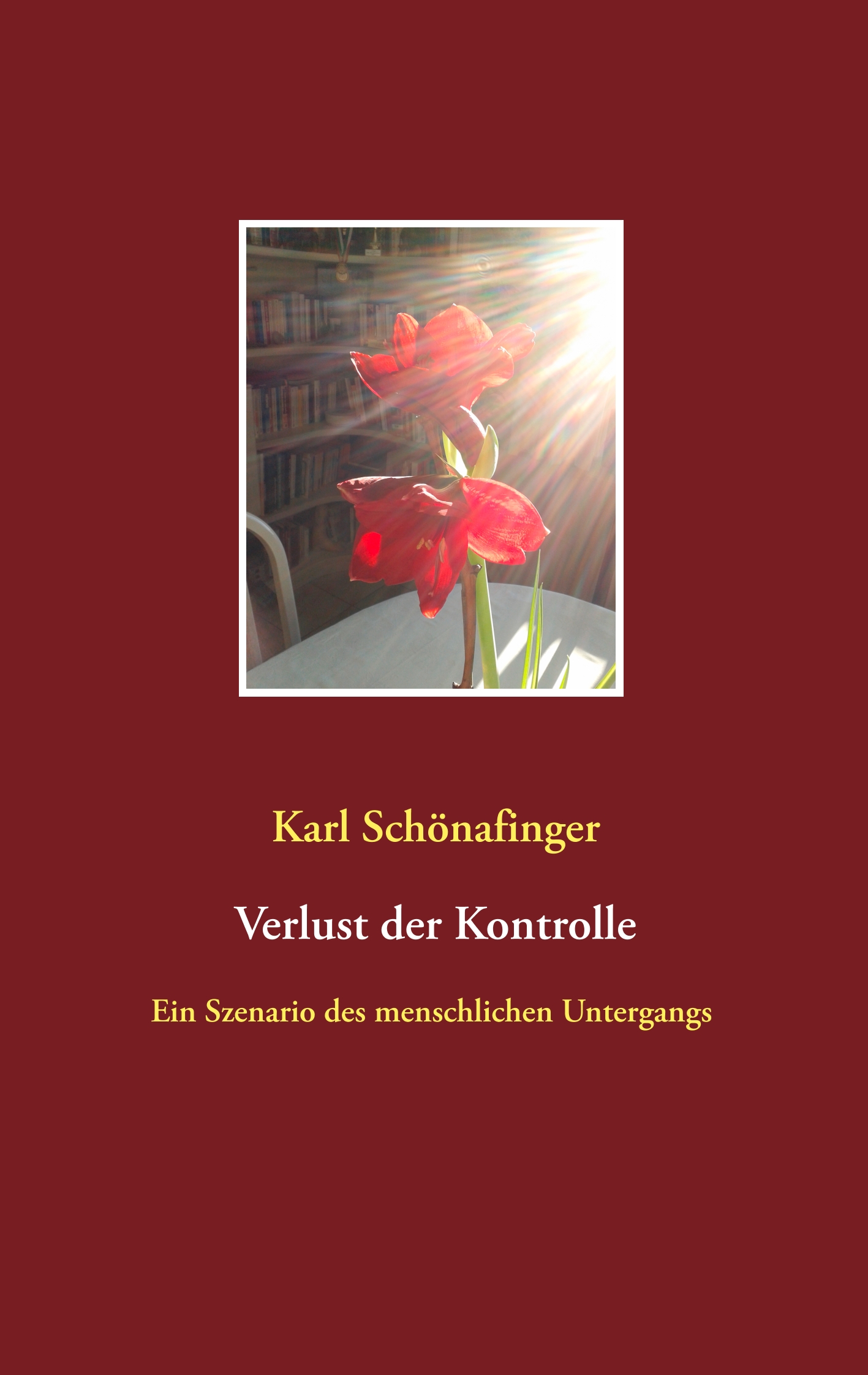 Verlust der Kontrolle - Karl Schönafinger - ebook