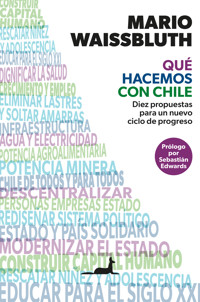 Qué hacemos con Chile - Mario Waissbluth - ebook