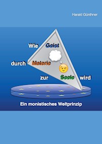 Wie Geist durch Materie zur Seele wird - Harald Günthner - ebook