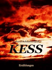 K E S S - Erhard Schümmelfeder - ebook