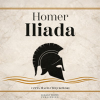 Iliada - Homer - ebook + audiobook + książka