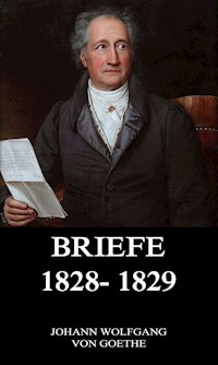 Briefe 1828 - 1829 - Johann Wolfgang von Goethe - ebook