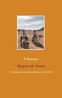 Ägypten als Tourist - P. Raconte - ebook