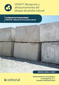 Recepción y almacenamiento del bloque de piedra natural. IEXD0108 - Tecnología e Investigación S.L. Asesoramiento - ebook