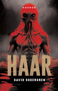 Haar - Sodergren David - ebook + książka