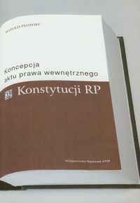 Koncepcja aktu prawa wewnętrznego Konstytucji RP - Płowiec Witold - książka