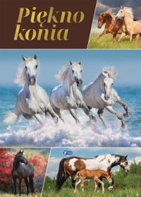 Piękno konia - zbiorowa praca - książka