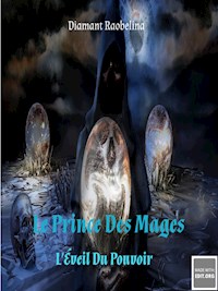 Le Prince Des Mages - Diamant Raobelina - ebook