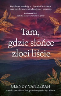 Tam, gdzie słońce złoci liście - Glendy Vanderah - ebook + książka