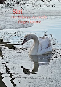 Siri - Elfi Uragg - ebook