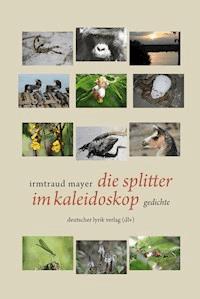 die splitter im kaleidoskop - Irmtraud Mayer - ebook