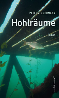 Hohlräume - Peter Zimmermann - ebook