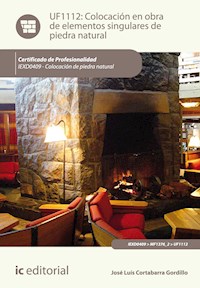 Colocación en obra de elementos singulares de piedra natural. IEXD0409 - José Luís Cortabarra Gordillo - ebook