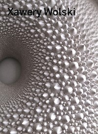 Xawery Wolski -  - książka
