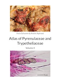 Atlas of Pyrenulaceae and Trypetheliaceae Vol 4 - Felix Schumm - ebook
