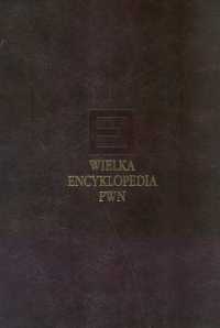 Wielka encyklopedia PWN Tom 19 -  - książka