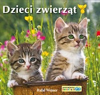 Dzieci zwierząt Poznajemy zwierzęta - Wejner Rafał - książka
