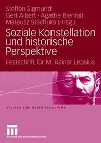 Soziale Konstellation und historische Perspektive -  - ebook