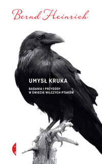 Umysł kruka. Badania i przygody w świecie wilczych ptaków - Heinrich Bernd - książka