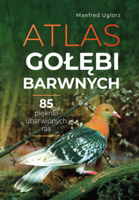 Atlas gołębi barwnych - Manfred Uglorz - książka
