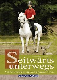 Seitwärts unterwegs - Johannes Beck-Broichsitter - ebook