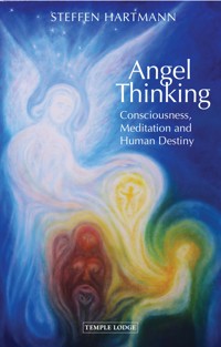 Angel Thinking - Steffen Hartmann - ebook