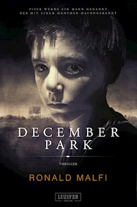 DECEMBER PARK - Ronald Malfi - ebook