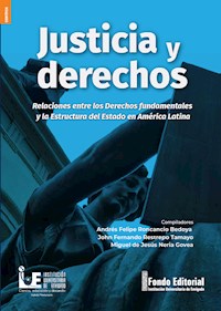 Justicia y derechos - Andrés Felipe Roncancio Bedoya - ebook