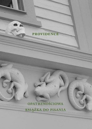 Providence. Opatrznościowa książka do pisania - Taborska Agnieszka - książka