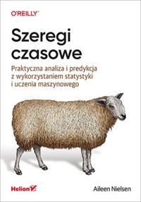 Szeregi czasowe - Nielsen Aileen - książka