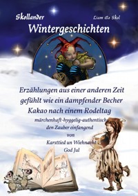 Skollander Wintergeschichten - Liam Bo Skol - ebook