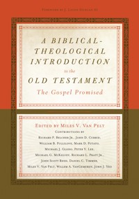 A Biblical-Theological Introduction to the Old Testament -  - ebook