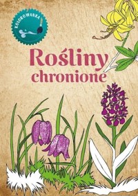 Kolorowanka Rośliny Chronione - Katarzyna Kopiec-Sekieta - książka