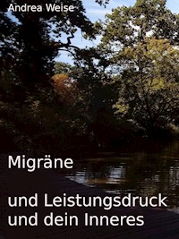 Migräne und Leistungsdruck und dein Inneres - Andrea Weise - ebook