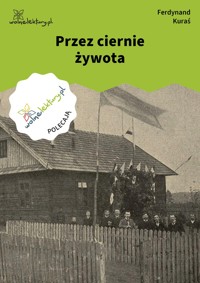 Przez ciernie żywota - Ferdynand Kuraś - ebook