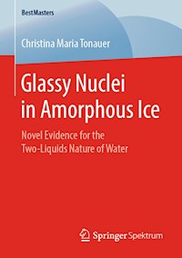 Glassy Nuclei in Amorphous Ice - Christina Maria Tonauer - ebook