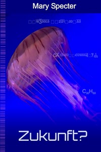 Zukunft? - Mary Specter - ebook
